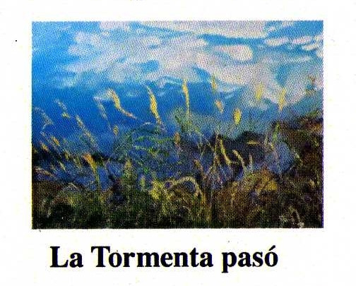 La_Tormenta_que_paso